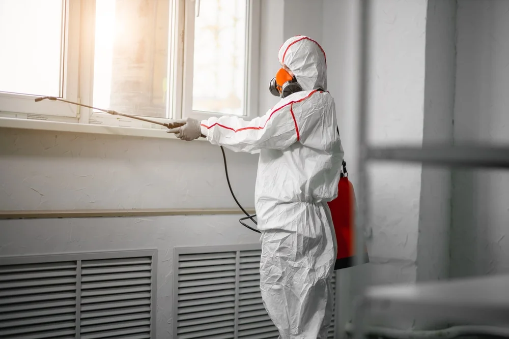 Professional mold remediation services in Trion, GA